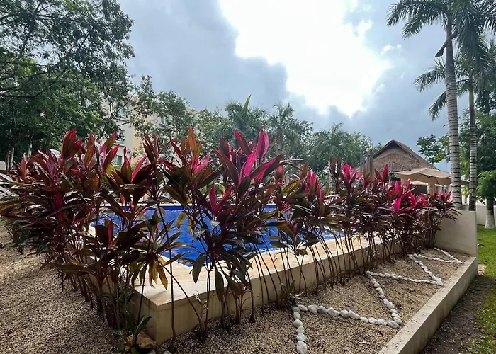 Casa Bambu, In The Part Of